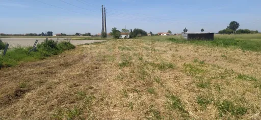1-bedr. house to renovate with building and agricultural land.