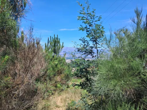 Terreno Misto com Ruína - Alcongosta, Fundão, Portugal