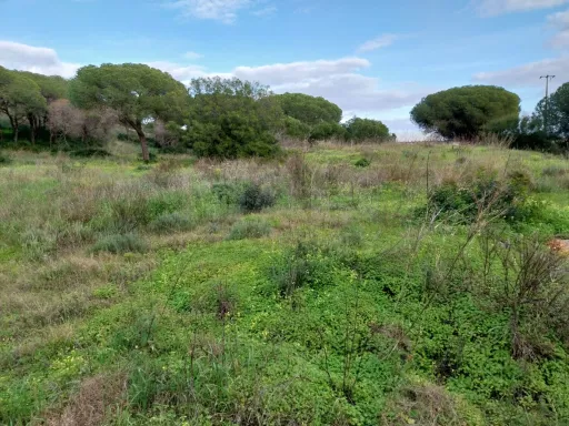 Lote de terreno Rustico com bom acesso e eletricidade