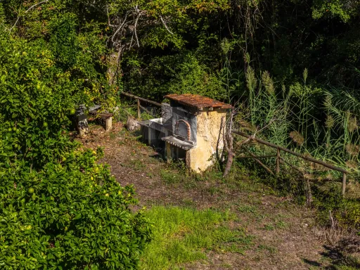 Terreno com 1600m2 rodeado pela natureza