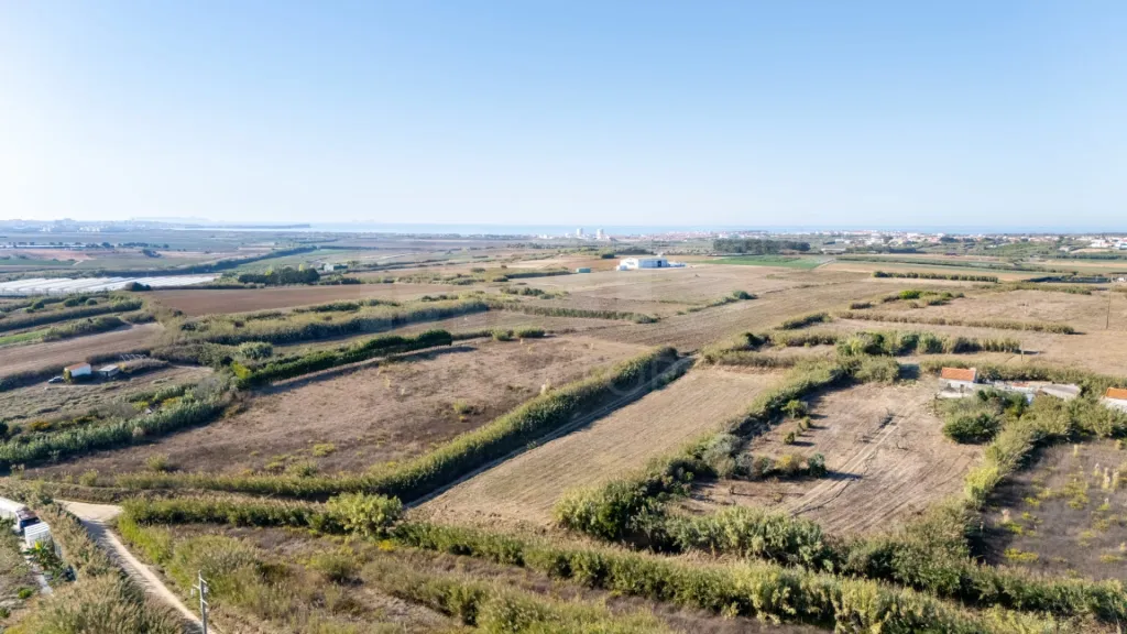 Terreno Rústico com 3.600 m² em Atouguia da Baleia