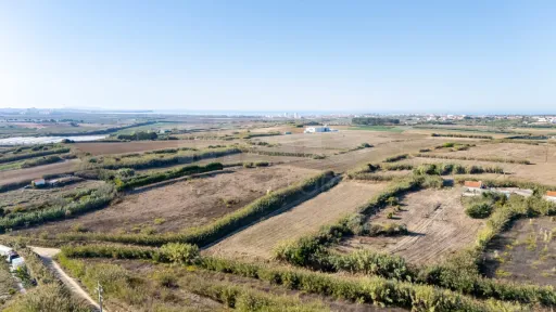 Terreno Rústico com 3.600 m² em Atouguia da Baleia