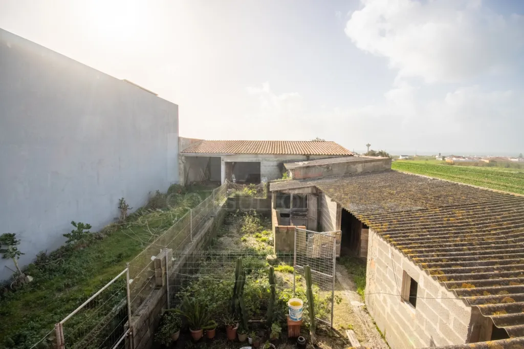 Moradia térrea T4 com anexo e 5.000 m2 de terreno em Geraldes
