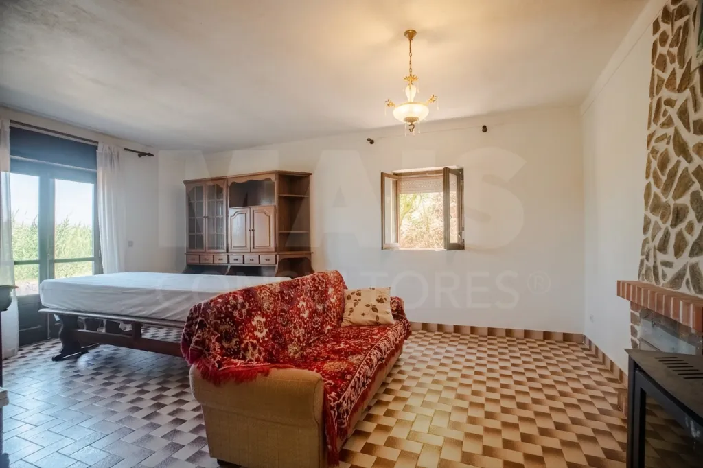 Quintinha T3 com 7.616 m² de terreno urbano e anexos (Casal do Rei)