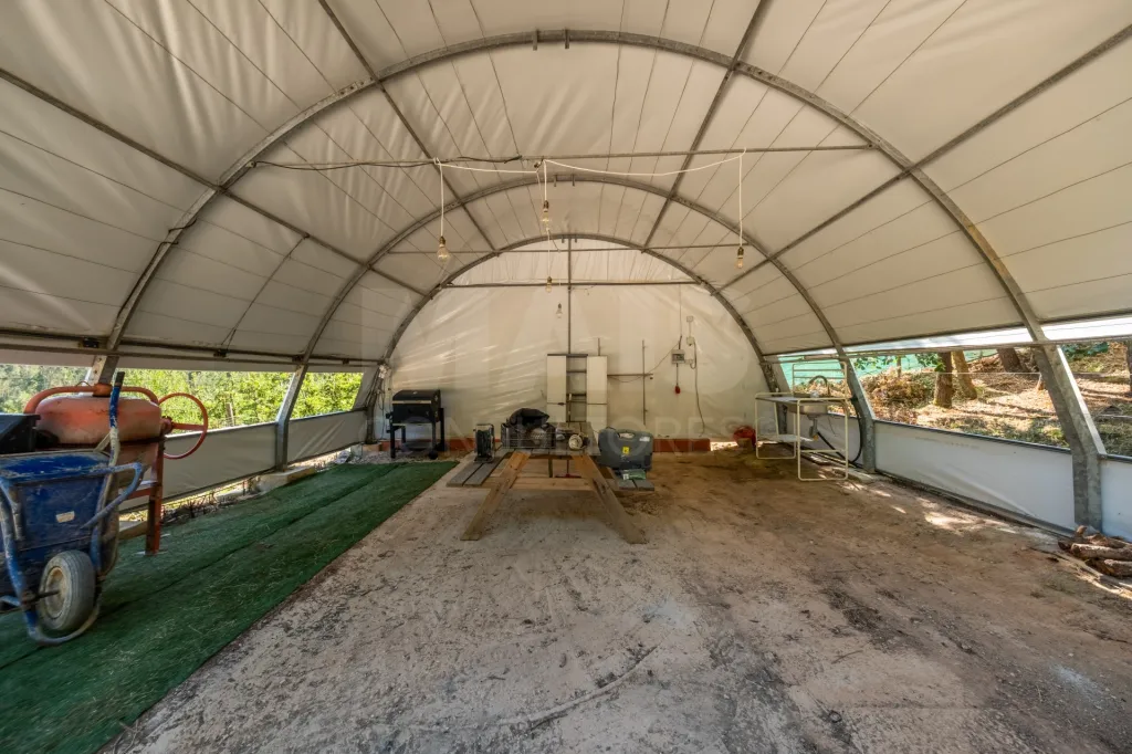 Terreno Agrícola na Fanadia | 16.100 m² de Potencial e Infraestruturas Preparadas