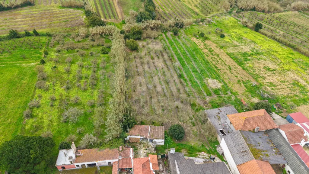 Terreno no centro da Usseira