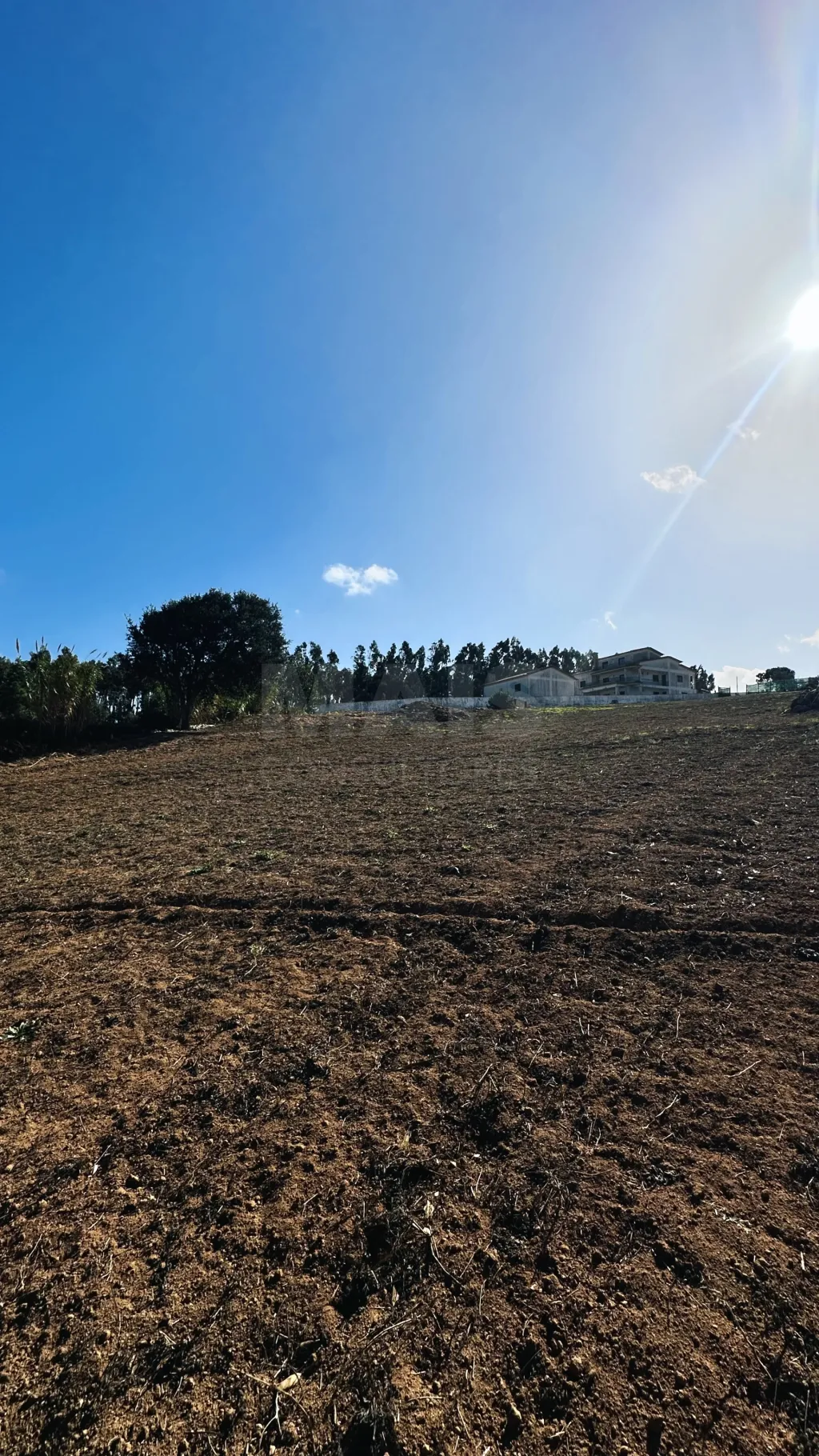 Terreno com 6.042 m² | Potencial de Construção | Santa Bárbara, Lourinhã