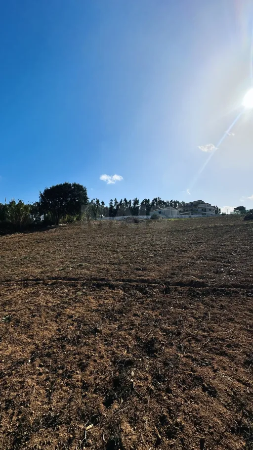 6,042 m² Lot | Building Potential | Santa Bárbara, Lourinhã