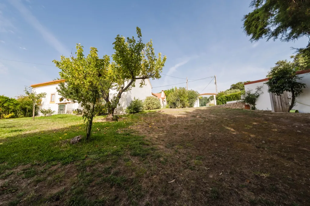 Propriedade única, a apenas 2 km de Alcobaça, com mais de 30.000 m² de terreno