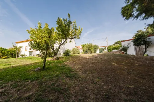 Propriedade única, a apenas 2 km de Alcobaça, com mais de 30.000 m² de terreno
