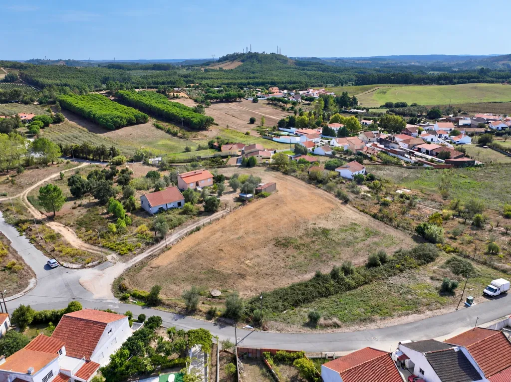 Terrano de 7.024 m2 com Potencial de Loteamento | Alcoentre
