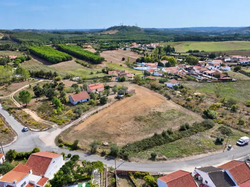 Terrano de 7.024 m2 com Potencial de Loteamento | Alcoentre