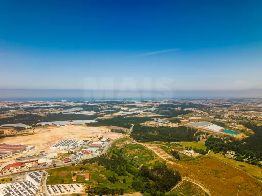 Terreno com quatro hectares e meio perto de indústria, no concelho de Torres Vedras