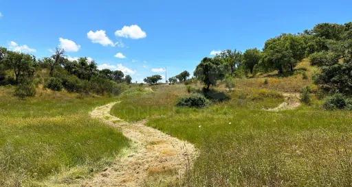 Herdade com 11,6 hectares em São Bartolomeu da Serra, Santiago do Cacém