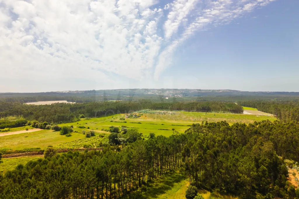 Moradia Térrea c/ piscina, árvores de fruto e garagem a 7 minutos da cidade