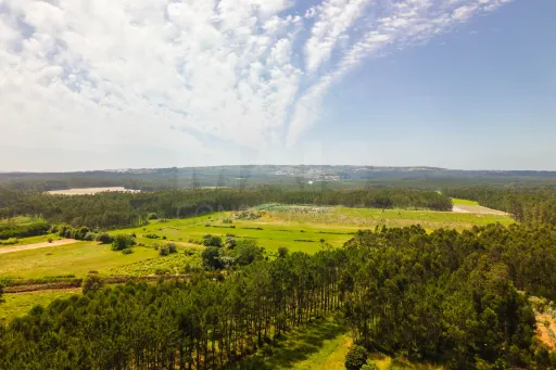 Moradia Térrea c/ piscina, árvores de fruto e garagem a 7 minutos da cidade