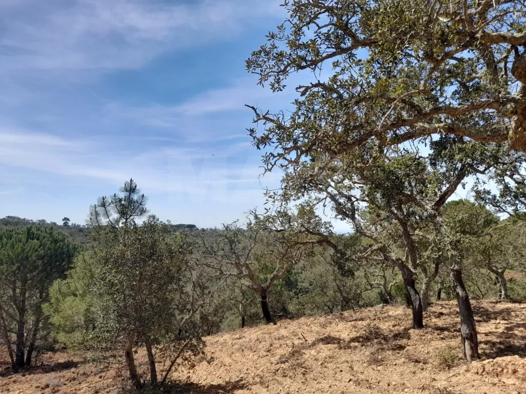 Terreno Urbano com 8.4 H em Melides
