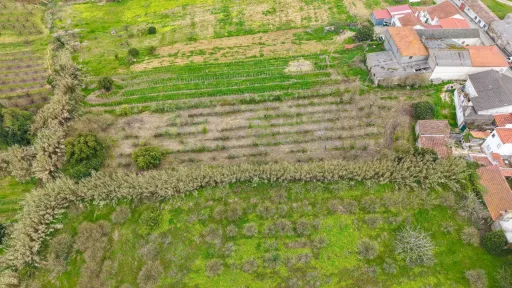 Terreno no centro da Usseira