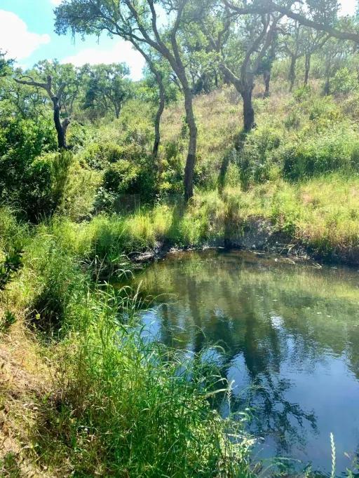 Herdade  com 40,85 hectares em São Bartolomeu da Serra, Santiago do Cacém