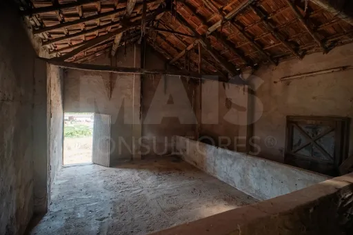 Quintinha T3 com 7.616 m² de terreno urbano e anexos (Casal do Rei)