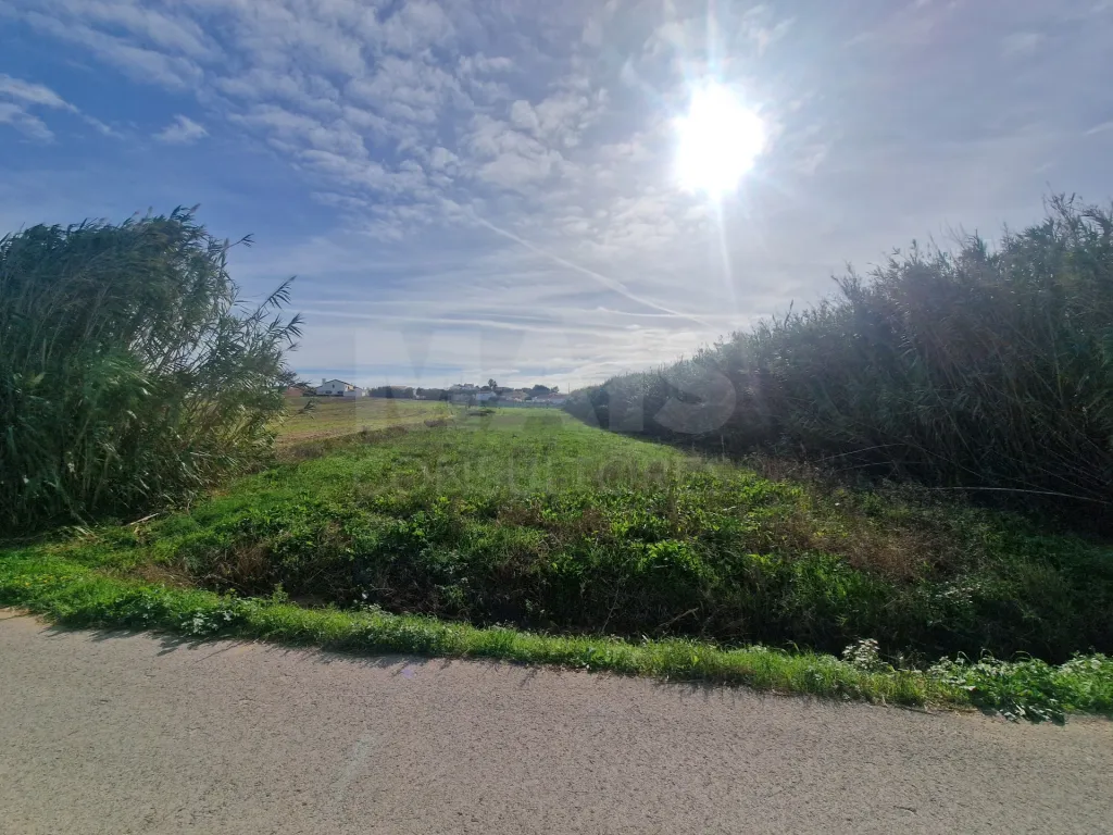 Land - Casais Brancos