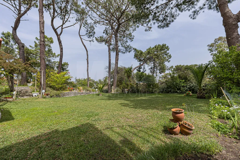 Moradia Contemporânea com terreno 700m2 em Soltroia – Próxima da Praia