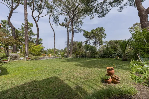 Moradia Contemporânea com terreno 700m2 em Soltroia – Próxima da Praia