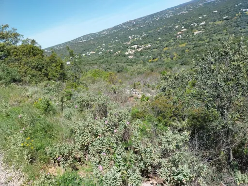 Terreno Rustico, vista serra.