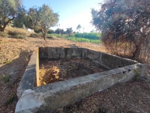 Quinta com moradia para recuperar na zona de Abrantes