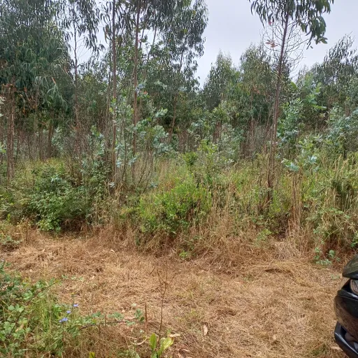 Terreno com viabilidade de construção de 3300m2