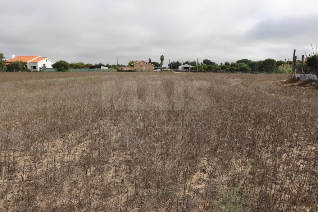 Terreno em Benavente