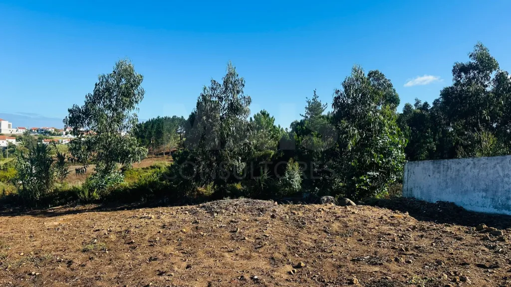 Terreno com 6.042 m² | Potencial de Construção | Santa Bárbara, Lourinhã