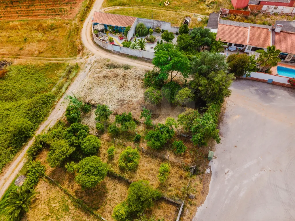 Developable Land with Mountain Views | Brejo, Estorninho - Bombarral