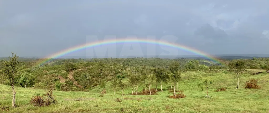 Herdade com 52,45 hectares em São Bartolomeu da Serra, Santiago do Cacém