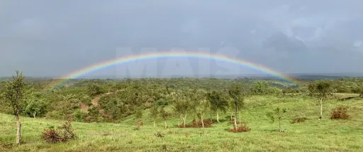 Herdade  com 40,85 hectares em São Bartolomeu da Serra, Santiago do Cacém