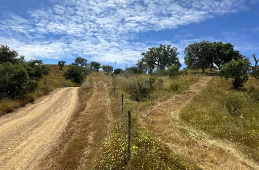 Herdade com 11,6 hectares em São Bartolomeu da Serra, Santiago do Cacém