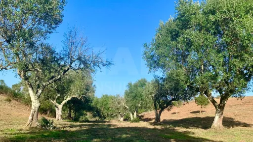 Herdade  com 40,85 hectares em São Bartolomeu da Serra, Santiago do Cacém