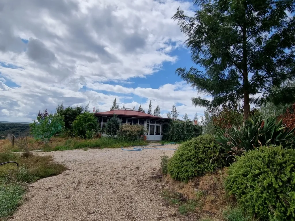 QUINTA, em  Casas Novas  - MOURISCAS -ABRANTES