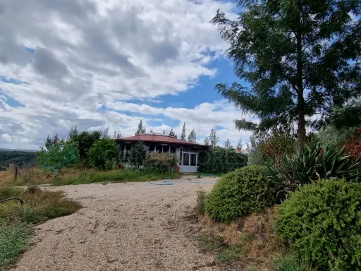 QUINTA, em  Casas Novas  - MOURISCAS -ABRANTES
