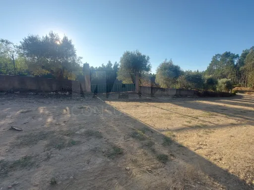 Terreno em meda de mouros com 7 mil m².