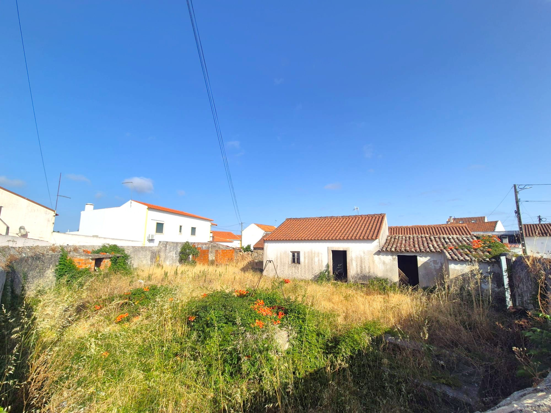 Moradia para Recuperação Total em Carregal, Óbidos | Lote de 490 m² | A apenas 3 km da Lagoa de Óbidos