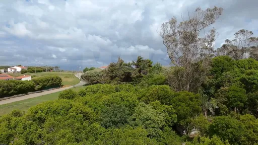 Terreno com 2 280m² em Cezaredas – Oportunidade Única!