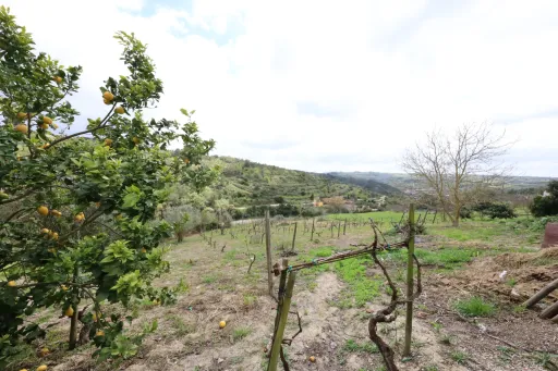 Casa de habitação e terreno Meca- Alenquer