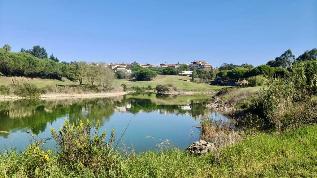 🌿 Lote Urbano | Belas Campo Clube | 721 m²