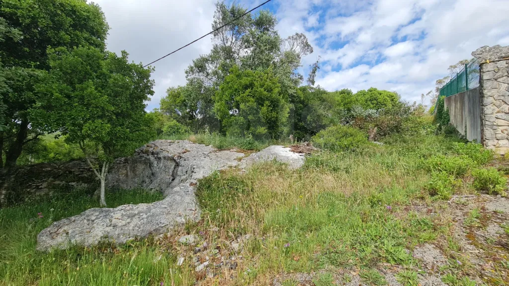 Terreno com 2 280m² em Cezaredas – Oportunidade Única!