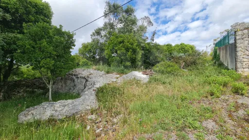 Terreno com 2 280m² em Cezaredas – Oportunidade Única!
