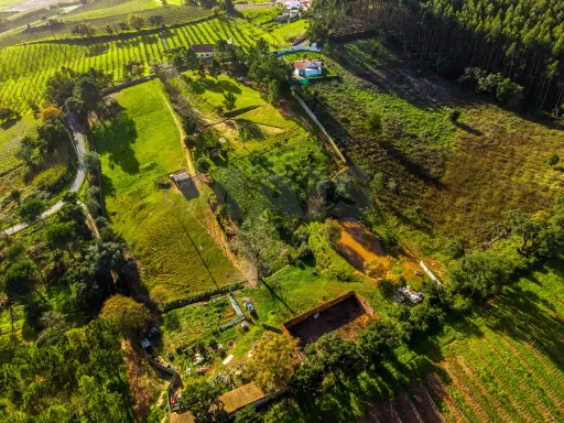 Moradia em ruínas num terreno de 10.699m2