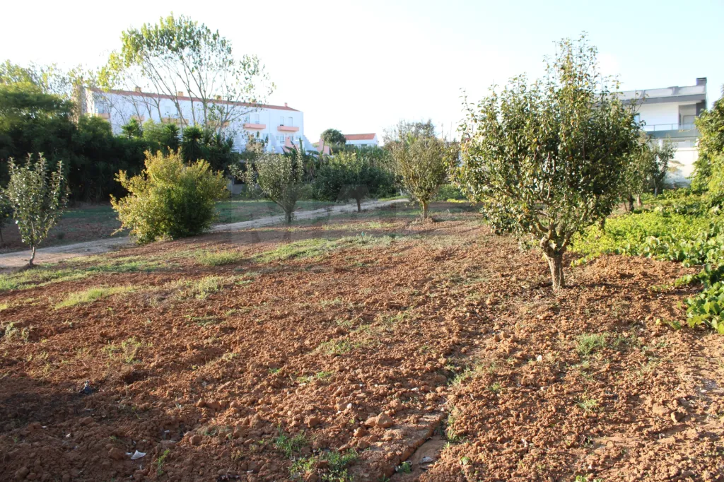 Plot with approved project for a villa ready to be built.