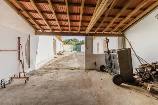Propriedade única, a apenas 2 km de Alcobaça, com mais de 30.000 m² de terreno