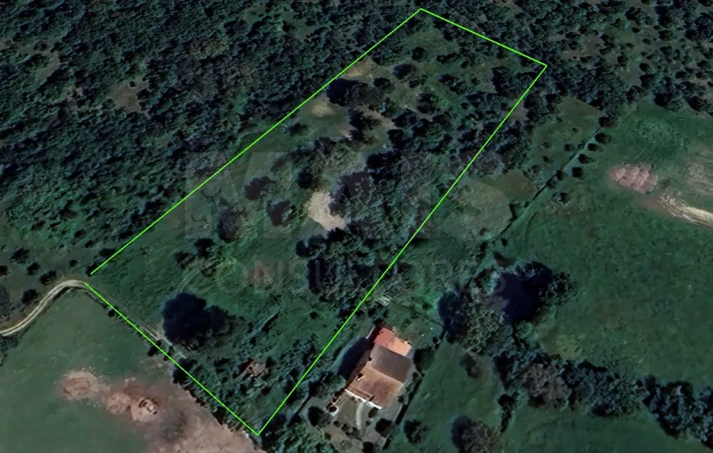 Terreno com Ruina SAO PEDRO DE TOMAR